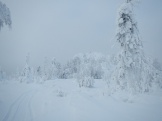 getImage (12)